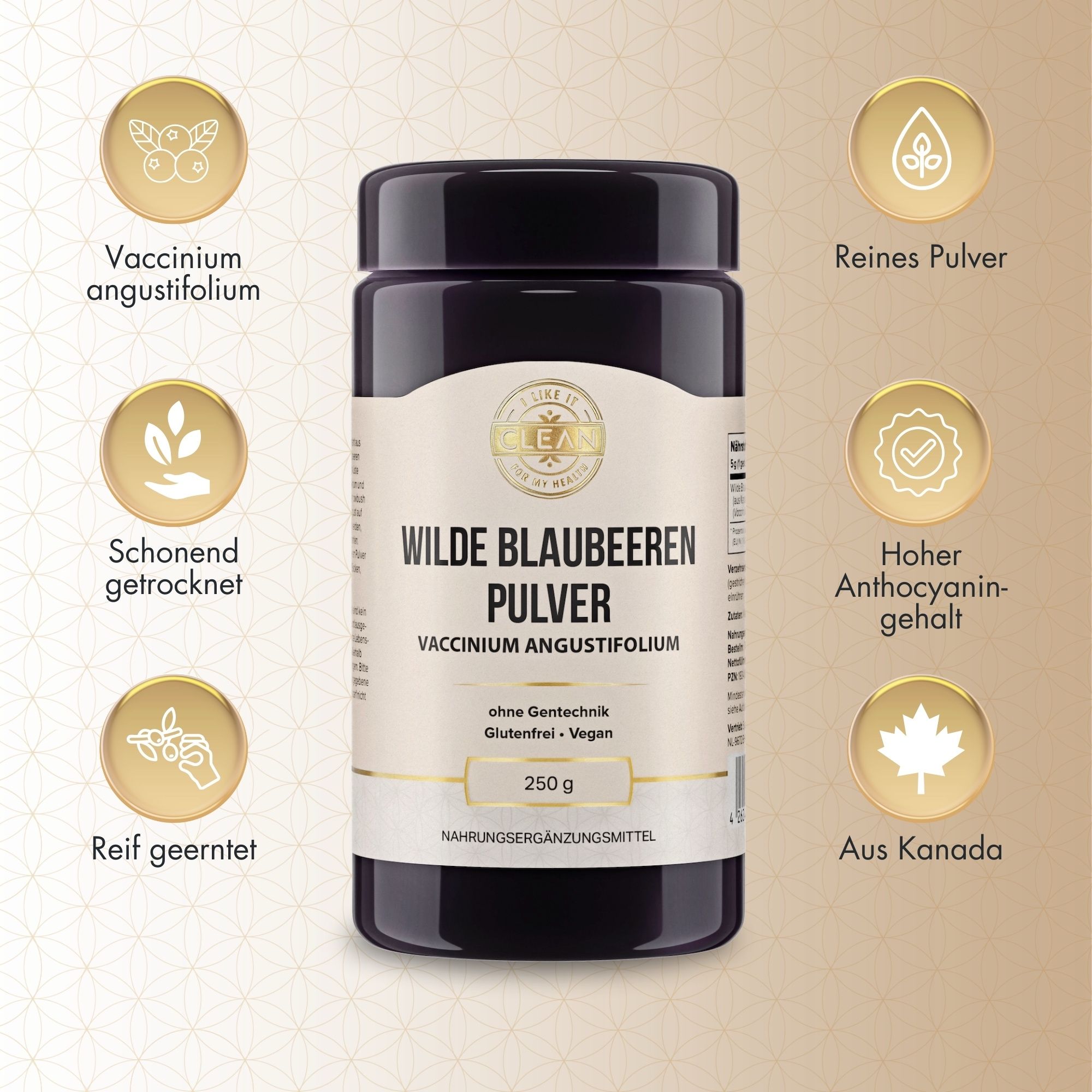Dunkle Dose mit Pulver. Aufschrift: Wilde Blaubeeren Pulver. Logos: Schonend getrocknet, reif geerntet, reines Pulver, aus Kanada.