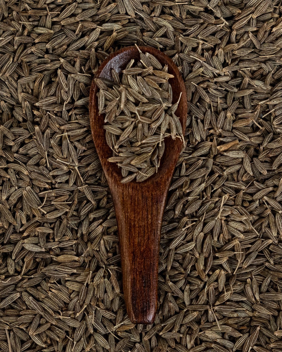 Ein Holzlöffel gefüllt mit Kreuzkümmelsamen, auf einem Bett aus Samen.