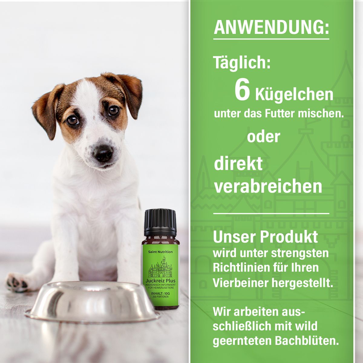 Welpen neben Produktflasche und Futternapf. Text: Anwendung: 6 Kügelchen unter das Futter mischen oder direkt verabreichen.