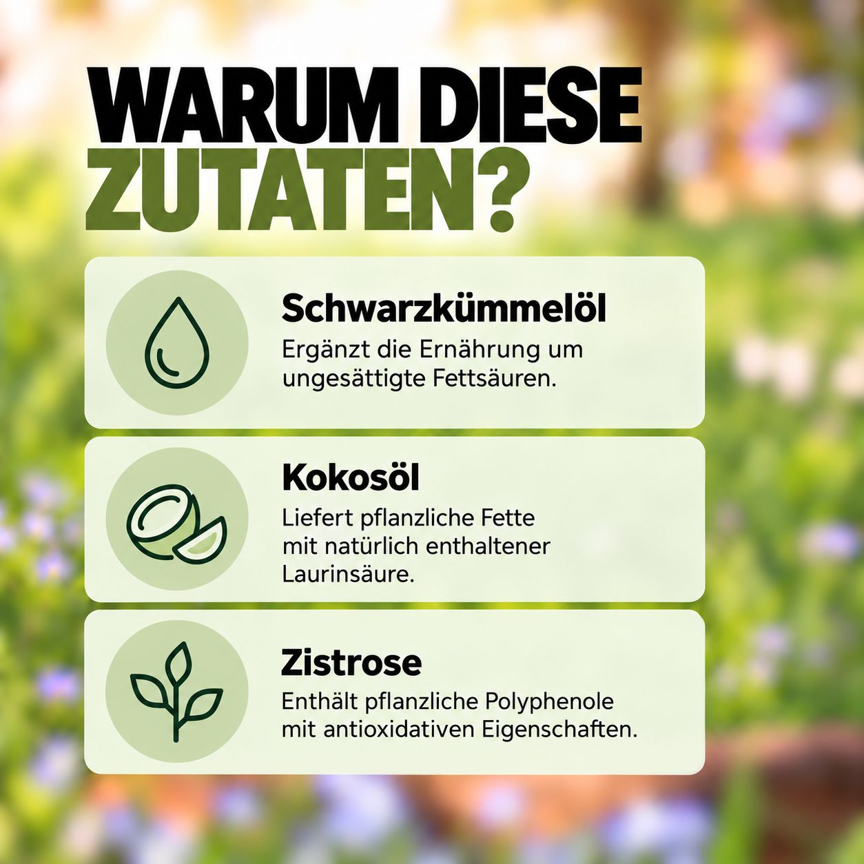 Zutatenliste mit Flohsamenschalen, Pflanzenkohle und Hefeextrakt.
