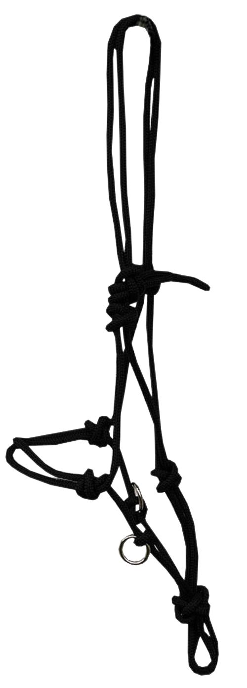 Schwarzes Knotenhalfter mit Ringen. Seilkonstruktion mit Knoten und Schlaufen.