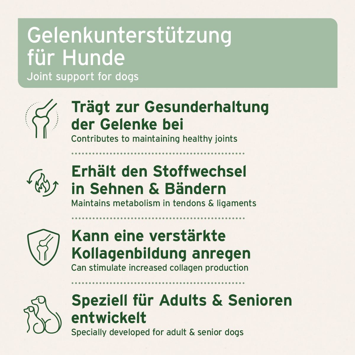 Infografik mit Text und Icons. Text: Gelenkunterstützung für Hunde. Vorteile für Gelenke, Stoffwechsel, Kollagen.