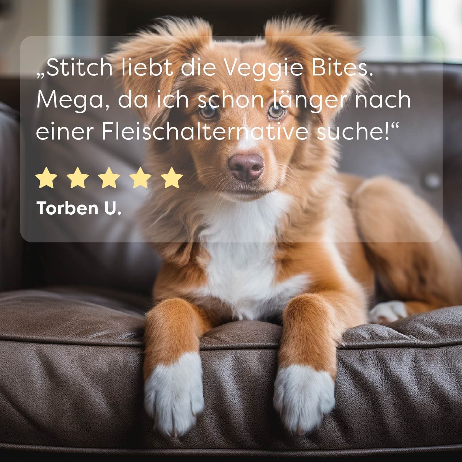 Dr. SAM Premium Veggie Bites - Gemüsesnack für Hunde
