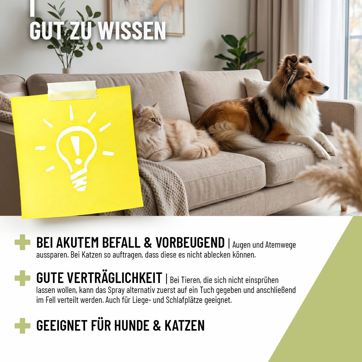 Hund und Katze auf Sofa. Gelber Zettel mit Glühbirnen-Symbol.