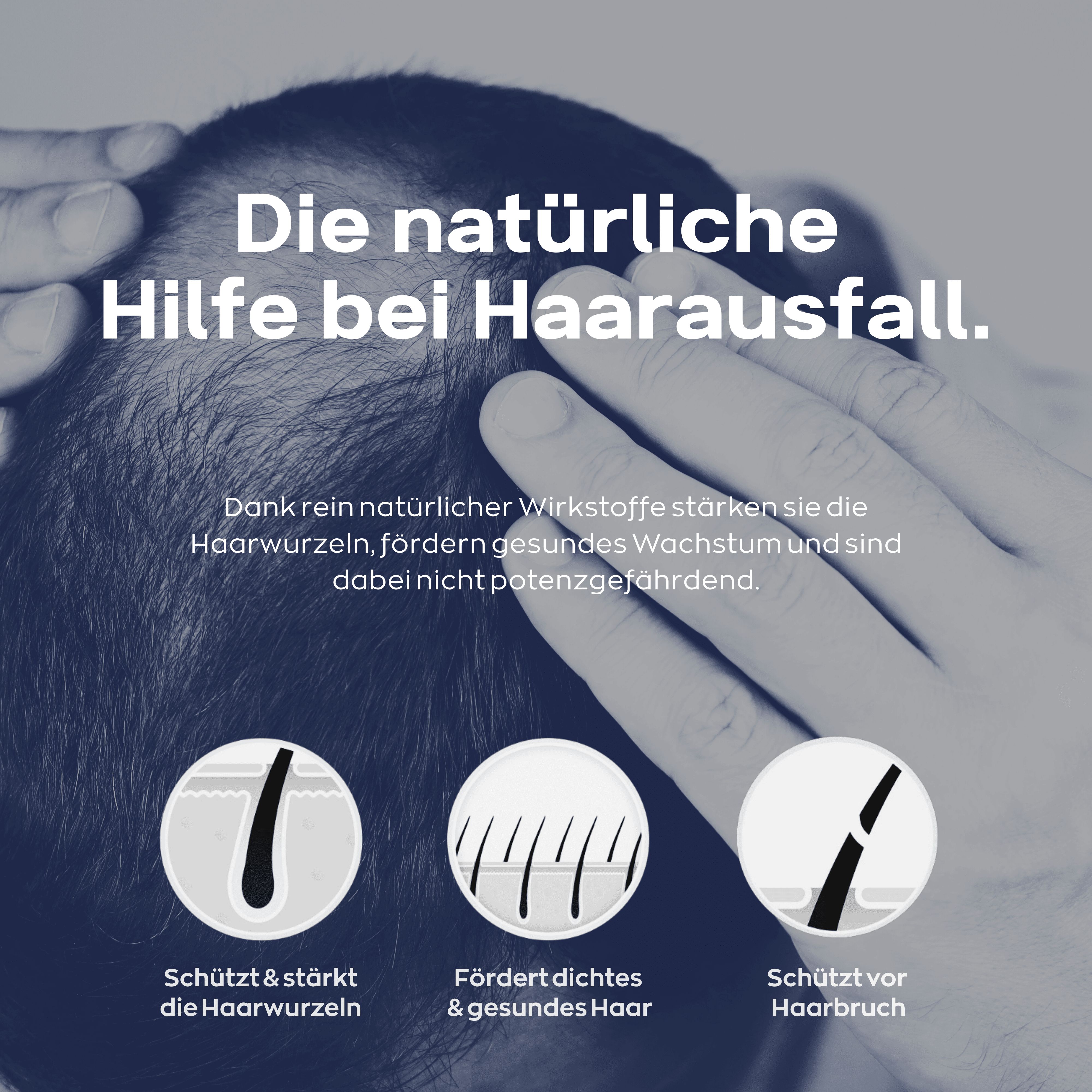 Grafik mit drei Symbolen: Haarwurzeln schützen, gesundes Haar fördern, Haarbruch schützen. Text: Natürliche Hilfe bei Haarausfall.