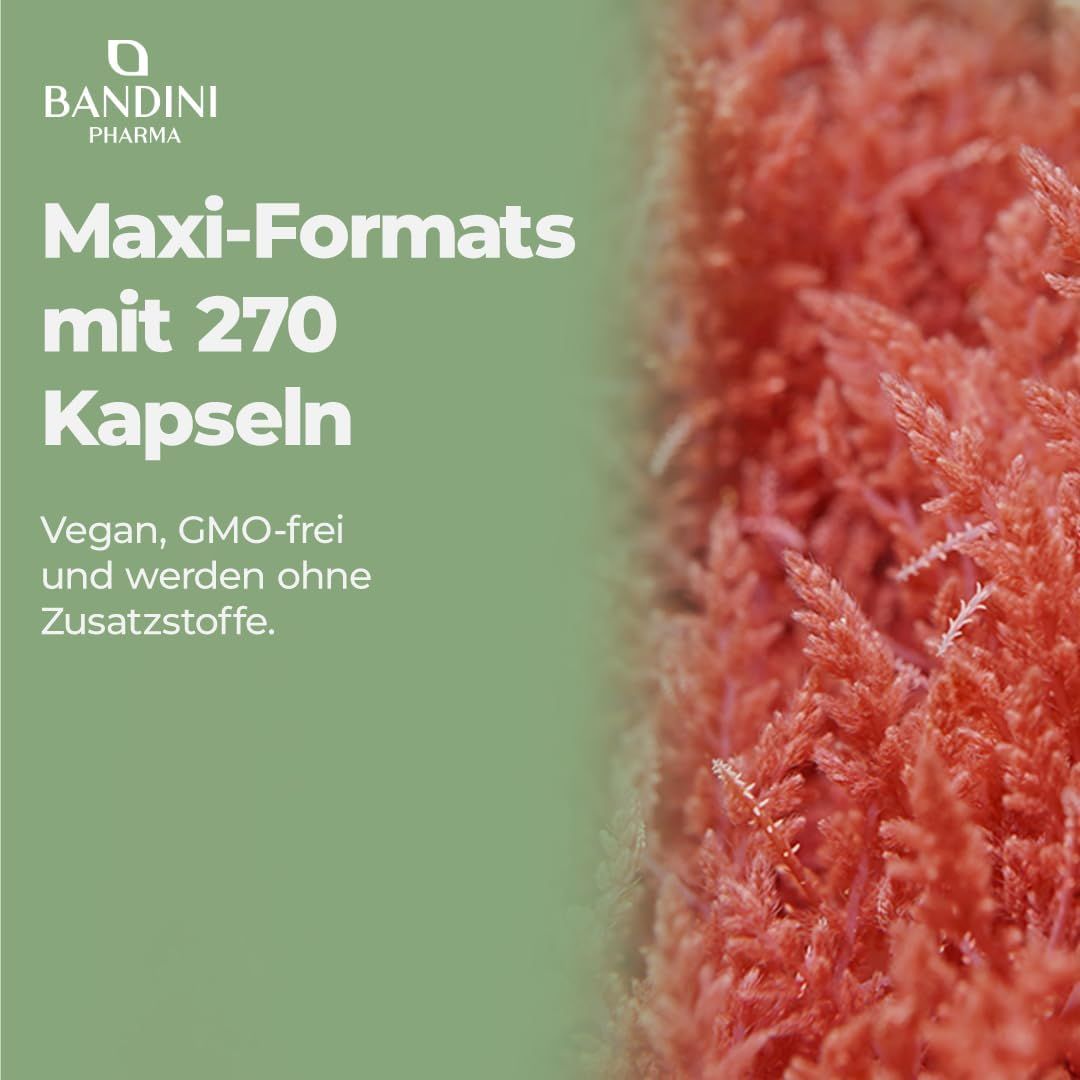 Rote Algen. Text: Maxi-Formate mit 270 Kapseln. Vegan, GMO-frei und ohne Zusatzstoffe.