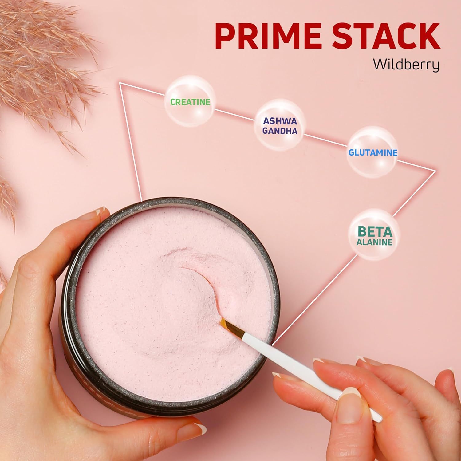 Dose Prime Stack Wildberry. Dose mit rosa Pulver. Aufschrift Creatine, Ashwagandha, Glutamine, Beta Alanine. Person hält Löffel.