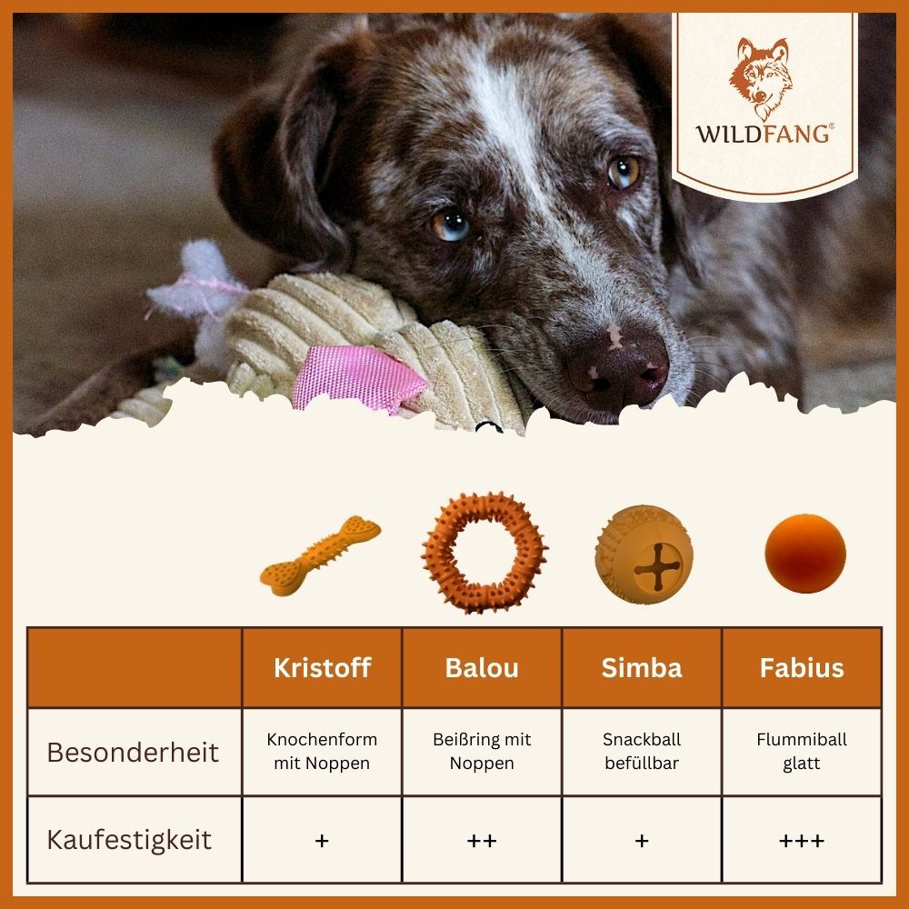 Hund mit verschiedenen Spielzeugen. Beißring "Balou" mit Noppen. Produktübersicht mit Kaufempfehlung.