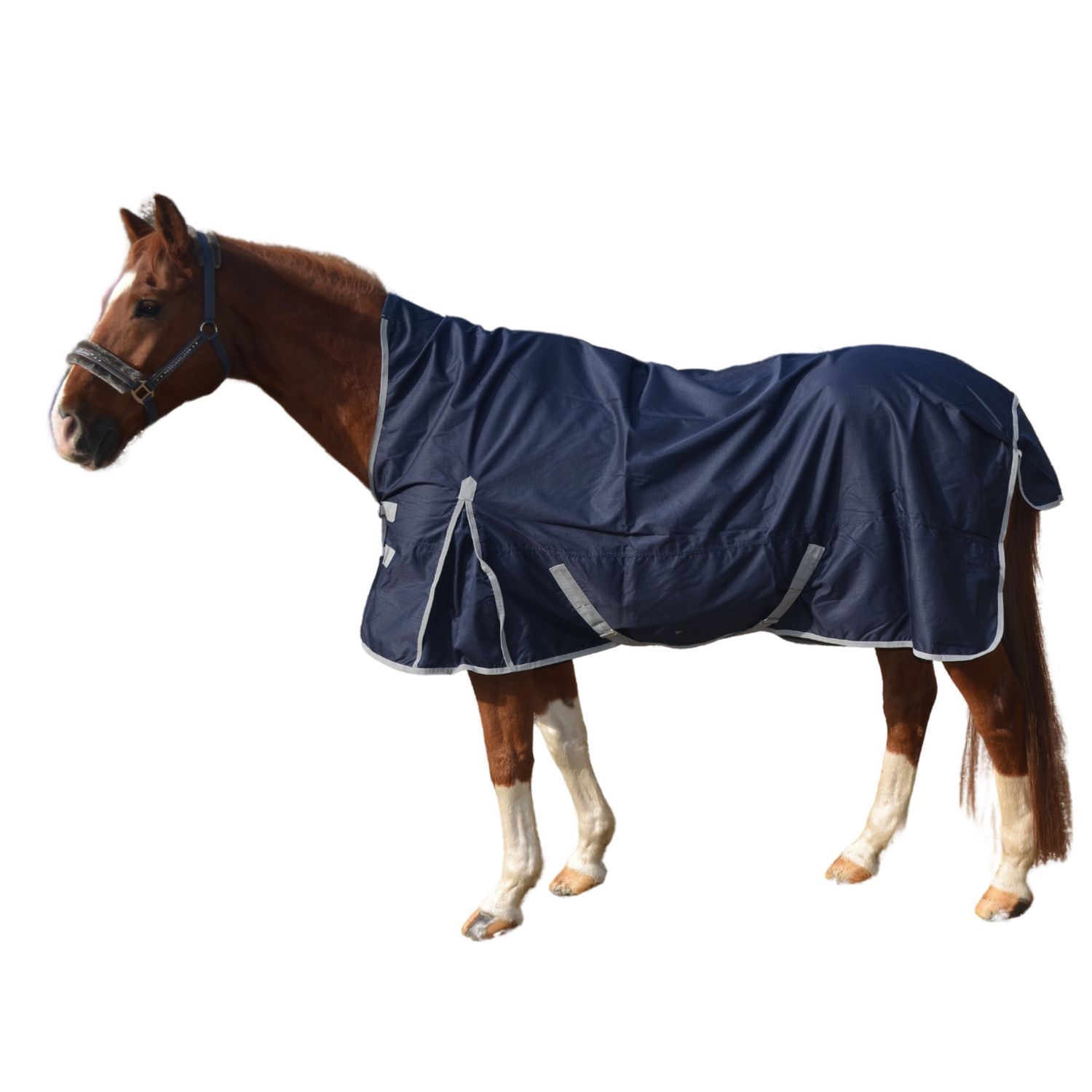 Dunkelblaue Pferdedecke mit silberfarbener Umrandung und Schnallen. Auf einem Pferd stehend.