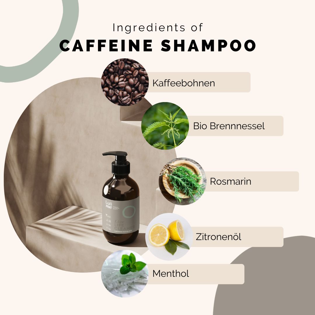 Braune Flasche mit Pumpe. Aufschrift: Caffeine Shampoo. Abbildung von Kaffeebohnen, Brennnessel, Rosmarin, Zitrone und Minze.