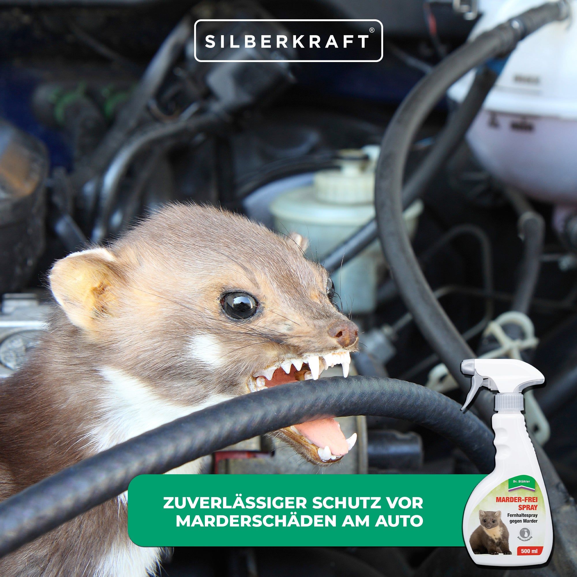 SILBERKRAFT Marder-Frei Spray