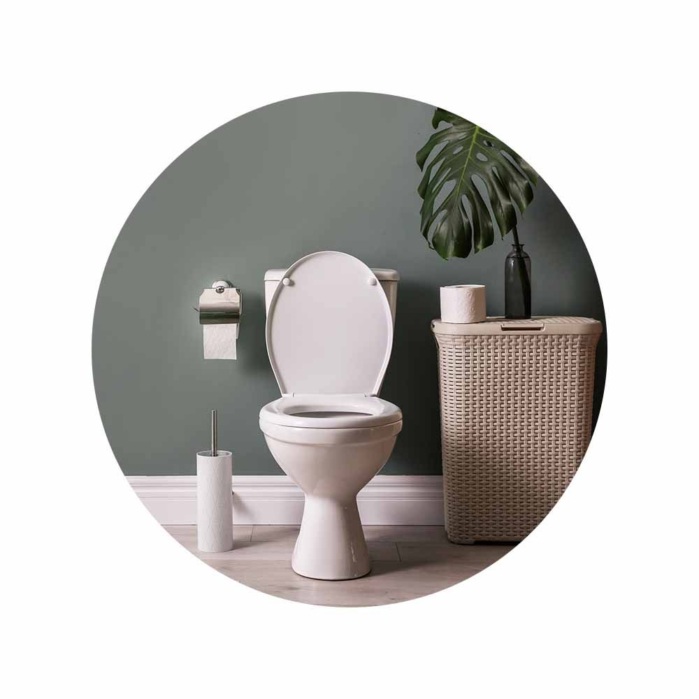 Toilette mit geöffnetem Deckel. Neben der Toilette: Toilettenpapier, Bürste, Korb mit Pflanze. Hintergrund: grüne Wand.