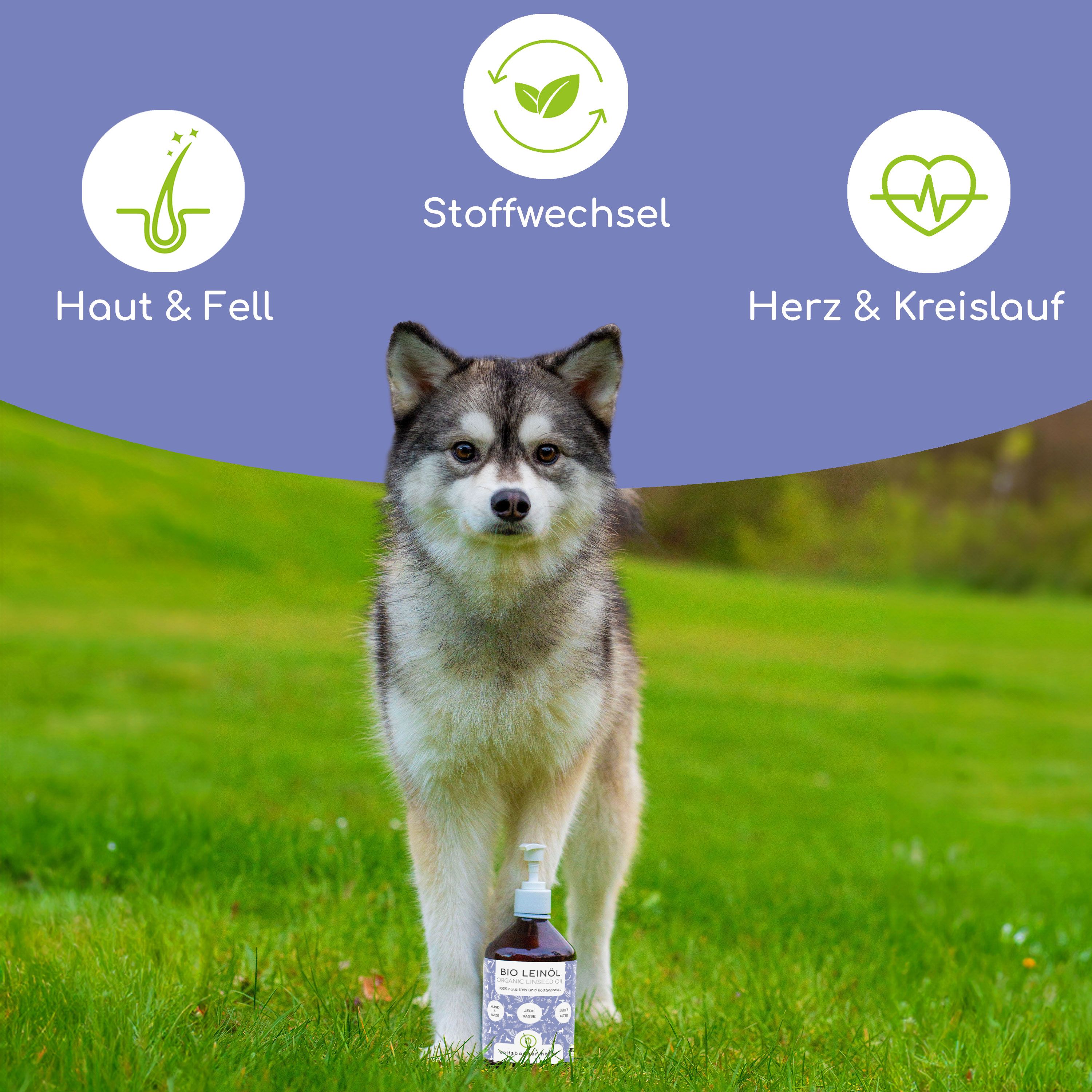 Hund auf einer Wiese mit einer Flasche. Auf der Flasche steht "Wolfsbacher Natur Bio Leinöl". Grafiken zeigen Haut & Fell, Stoffwechsel, Herz & Kreislauf.