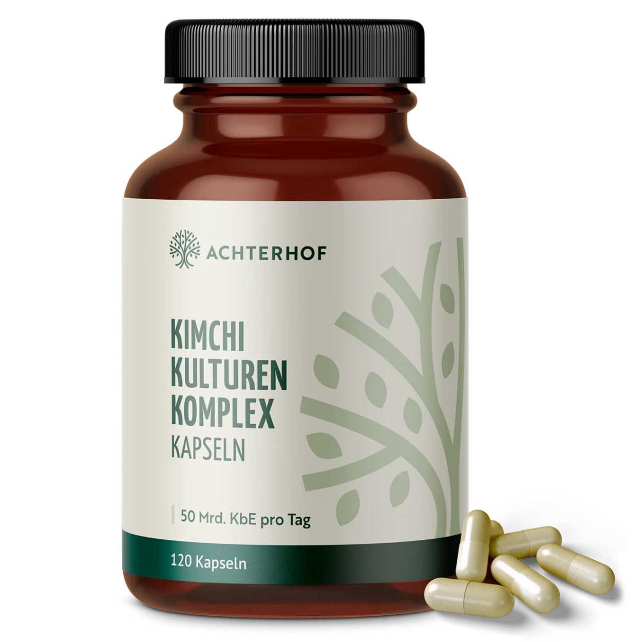 Achterhof Kimchi Kulturen Komplex Kapseln