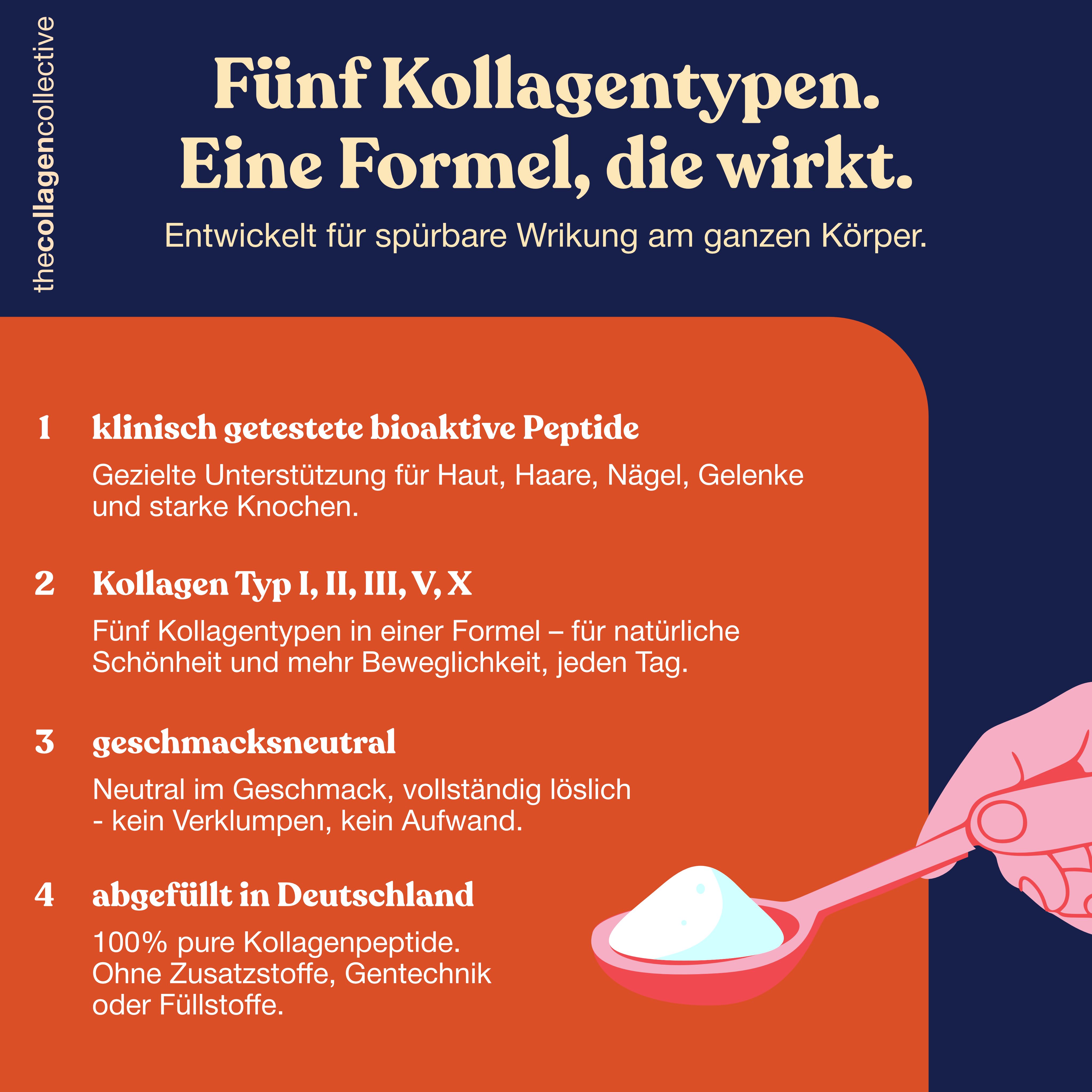 Infografik mit Text: Fünf Kollagentypen. Eine Formel, die wirkt. Enthält Informationen zu bioaktiven Peptiden und Kollagentypen.
