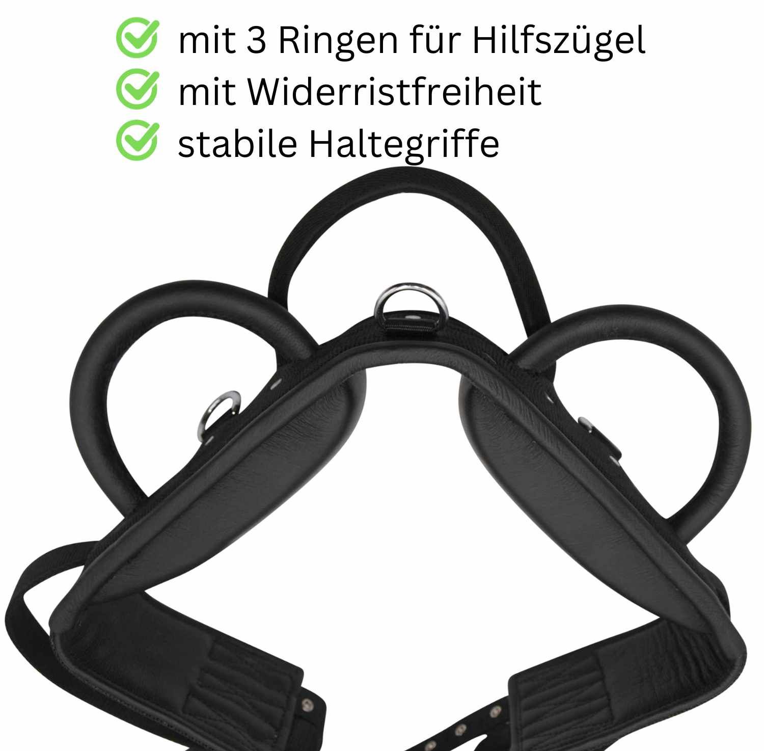 Schwarzer Longiergurt mit Griffen und Ringen. Mit 3 Ringen für Hilfszügel. Stabile Haltegriffe. Mit Widerristfreiheit.