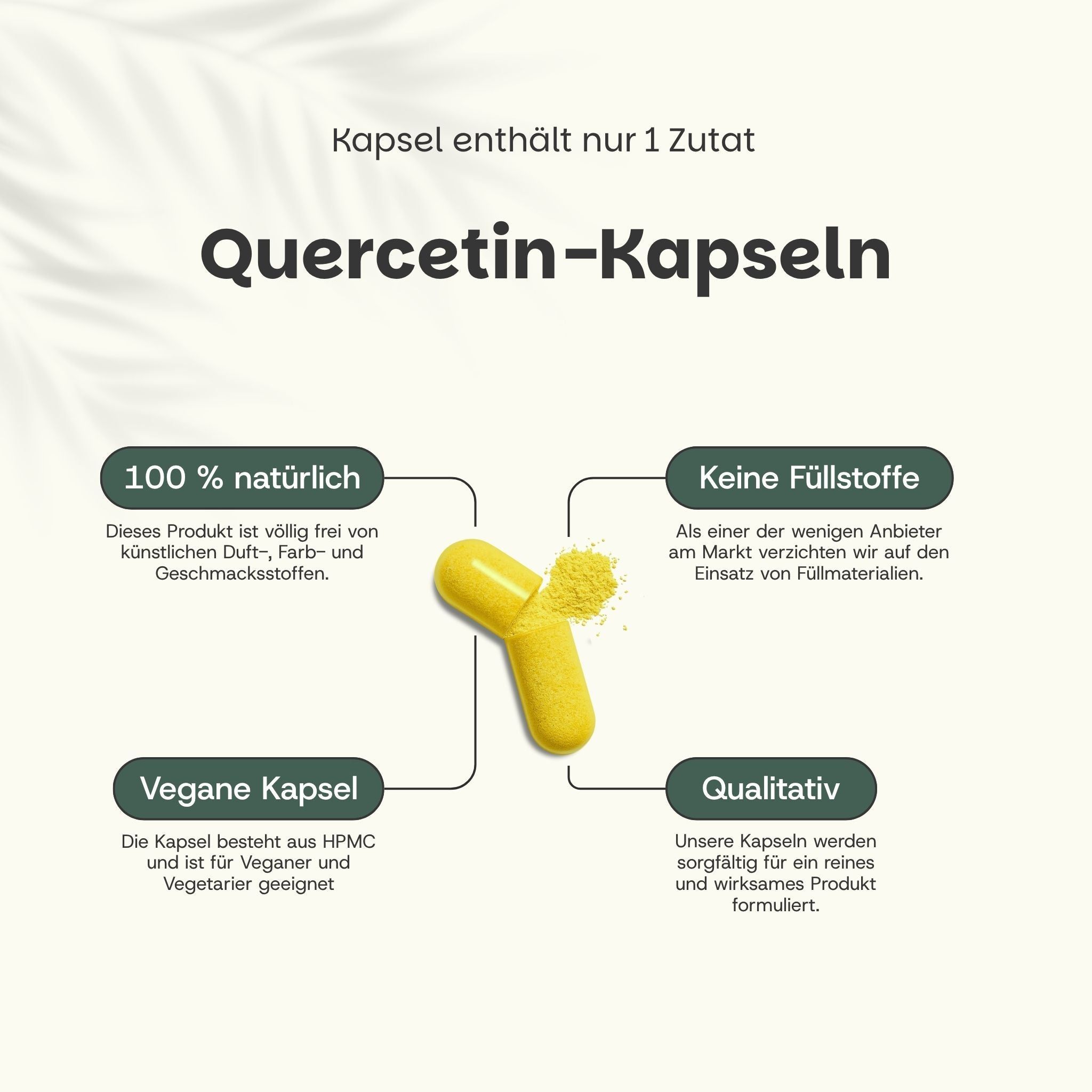 Beutel mit Kapseln. Text: Quercetin 10% Extrakt Capsules. 60 Kapseln. 100% natürlich, 500 mg pro Kapsel.