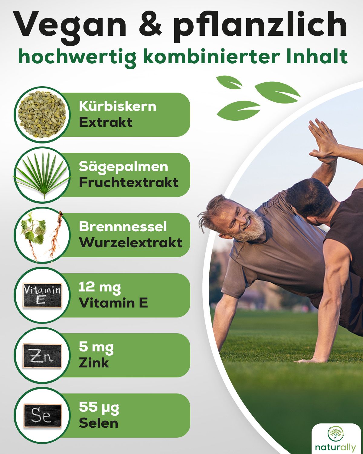 Grafik mit Inhaltsstoffen: Kürbiskern, Sägepalmen, Brennnessel, Vitamin E, Zink, Selen. Vegan & pflanzlich.