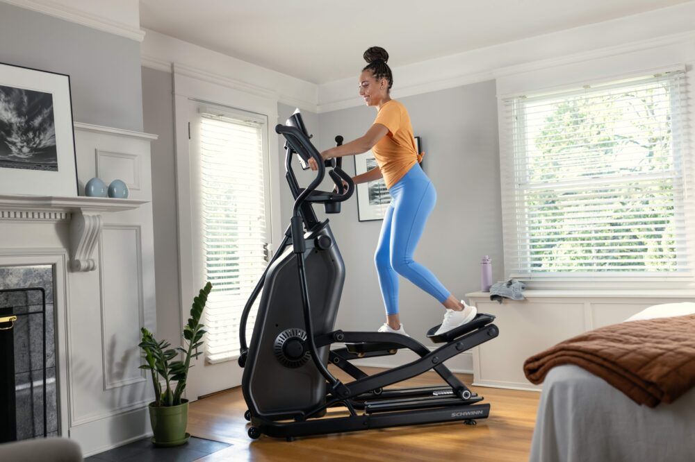 Schwinn Fitness 590E