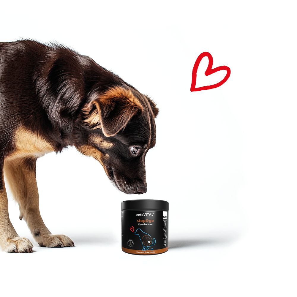 entoVITAL DOG stop&GO