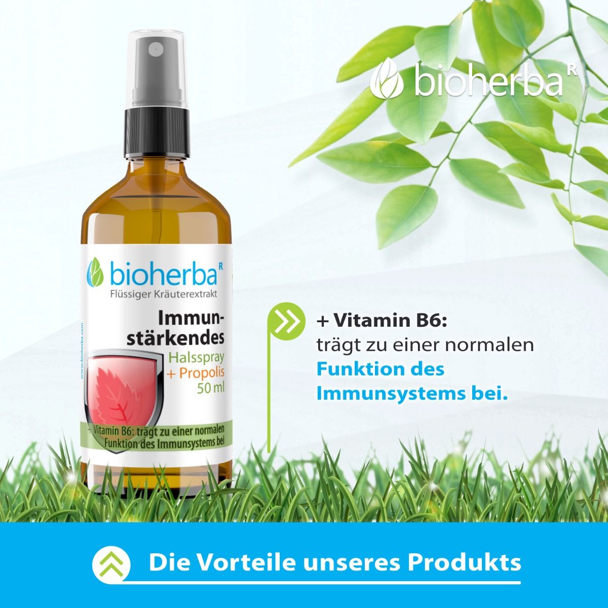 Braune Flasche mit Sprühkopf. Etikett mit Produktnamen. Text: + Vitamin B6: trägt zu einer normalen Funktion des Immunsystems bei.