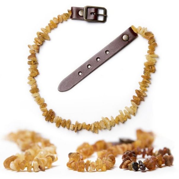 Bernsteinkette für Katzen mit braunem Lederband und Metallschnalle. Die Kette besteht aus unregelmäßigen, hellbraunen Bernstein-Stücken.