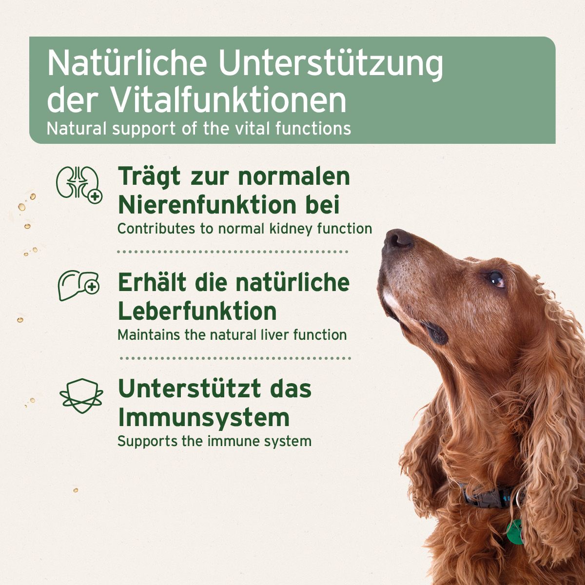 AniForte Bio Ägyptisches Schwarzkümmelöl