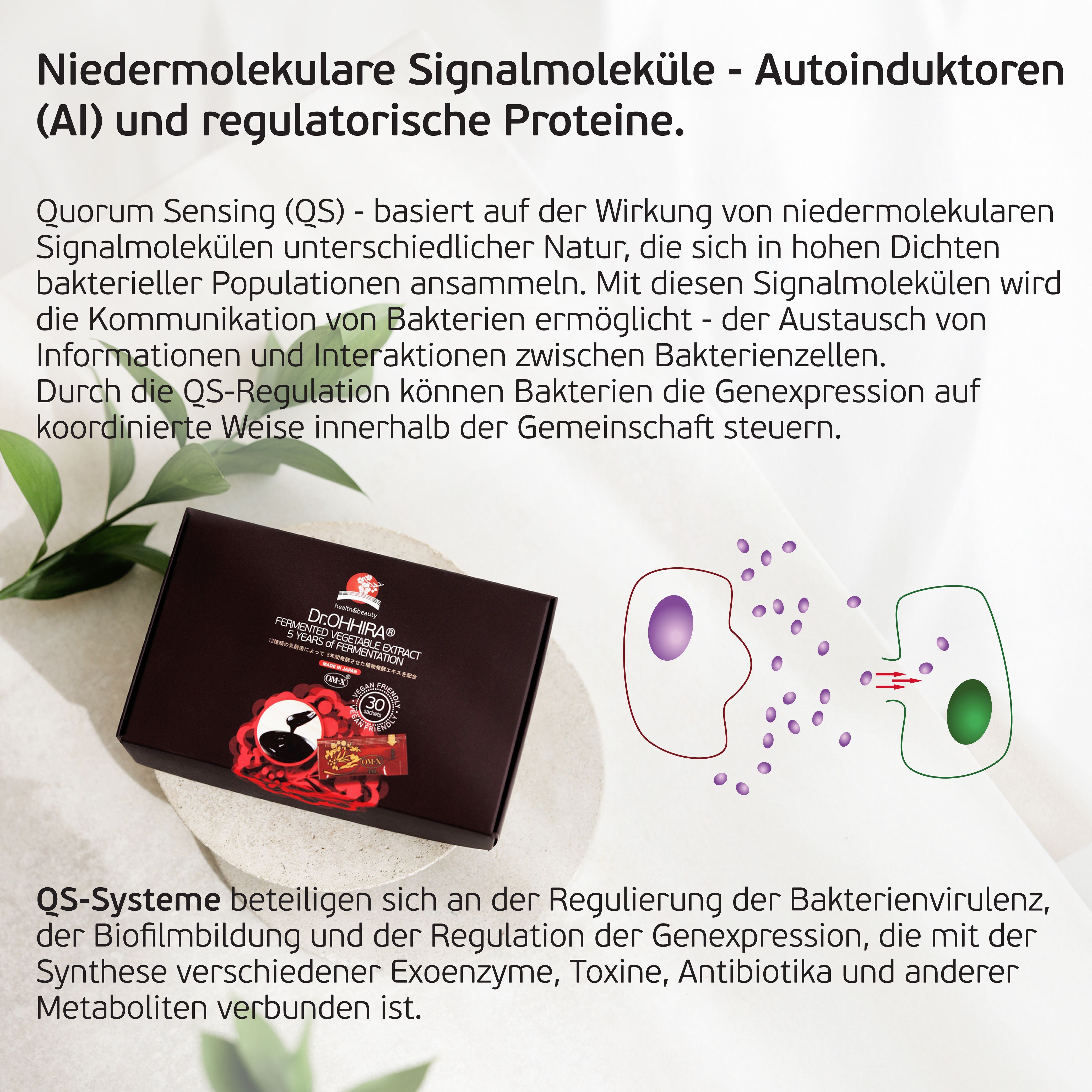 Dr.OHHIRA® Fermentierter Pflanzenextrakt OM-X® – 5 Jahre fermentiert mit Prä- & Postbiotika