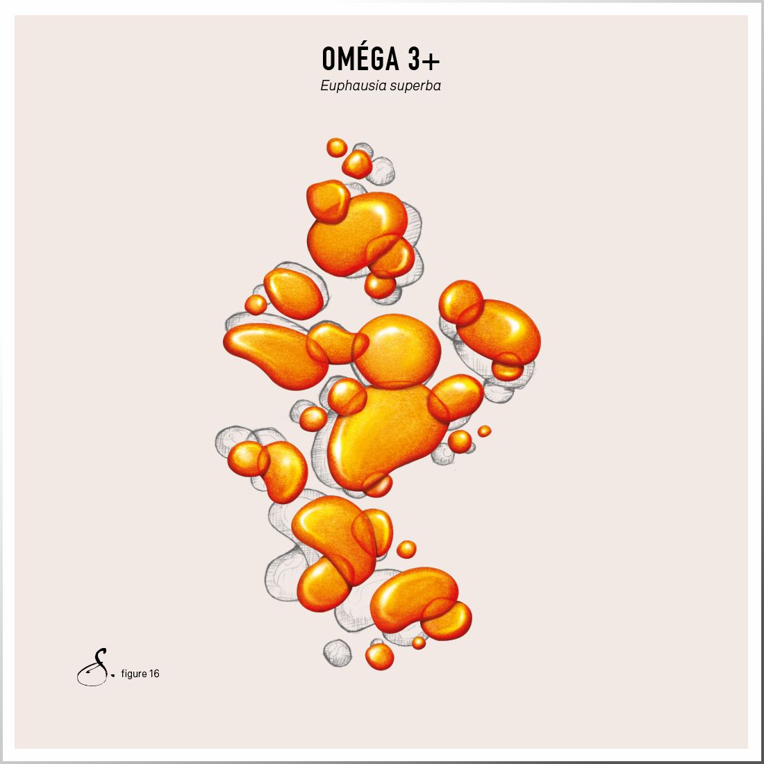 Sekoya Swiss - Omega 3+ | DHA & EPA