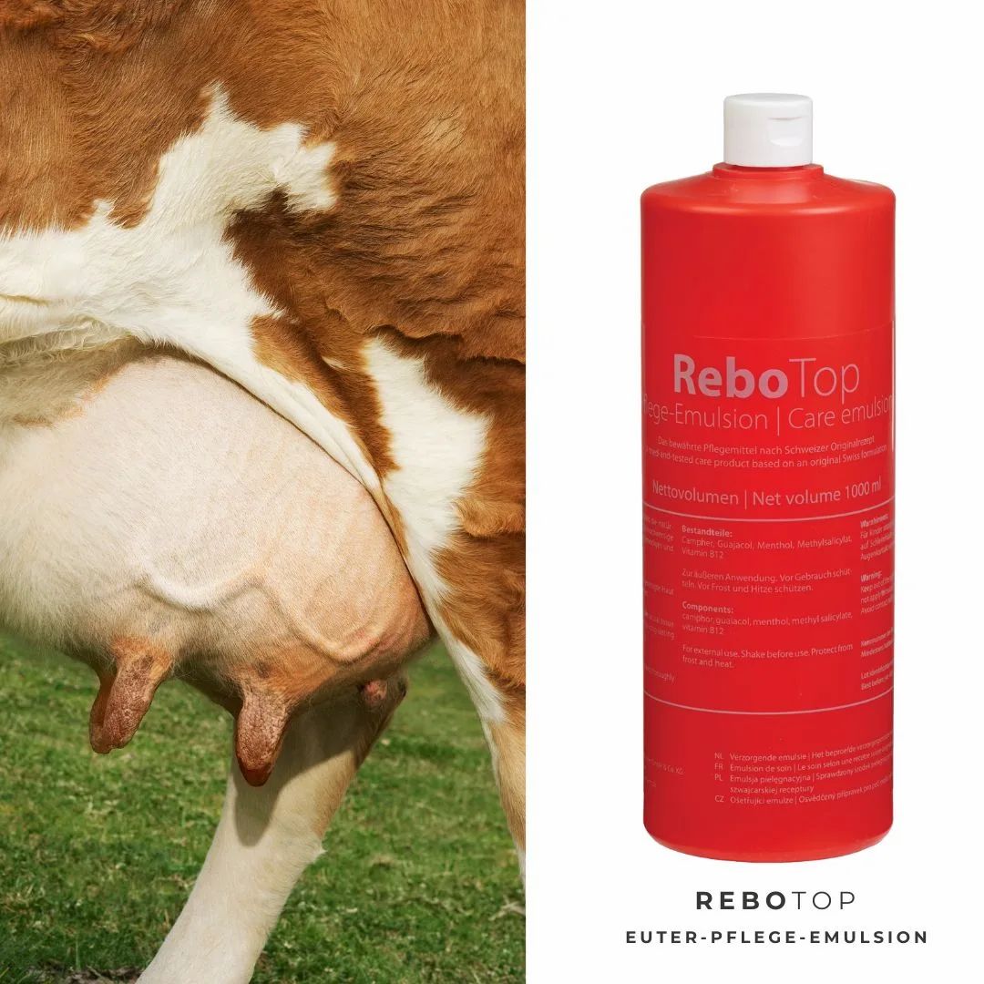 Nahaufnahme des Euters einer Kuh, daneben eine rote Flasche ReboTop Pflege-Emulsion.