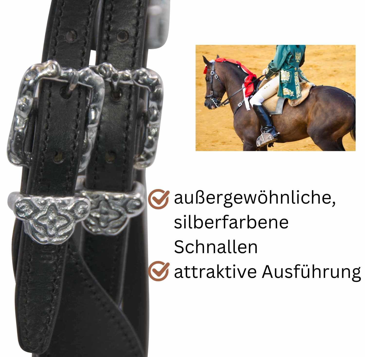 Detailansicht der Trense mit silberfarbenen Schnallen. Text: außergewöhnliche, silberfarbene Schnallen, attraktive Ausführung.