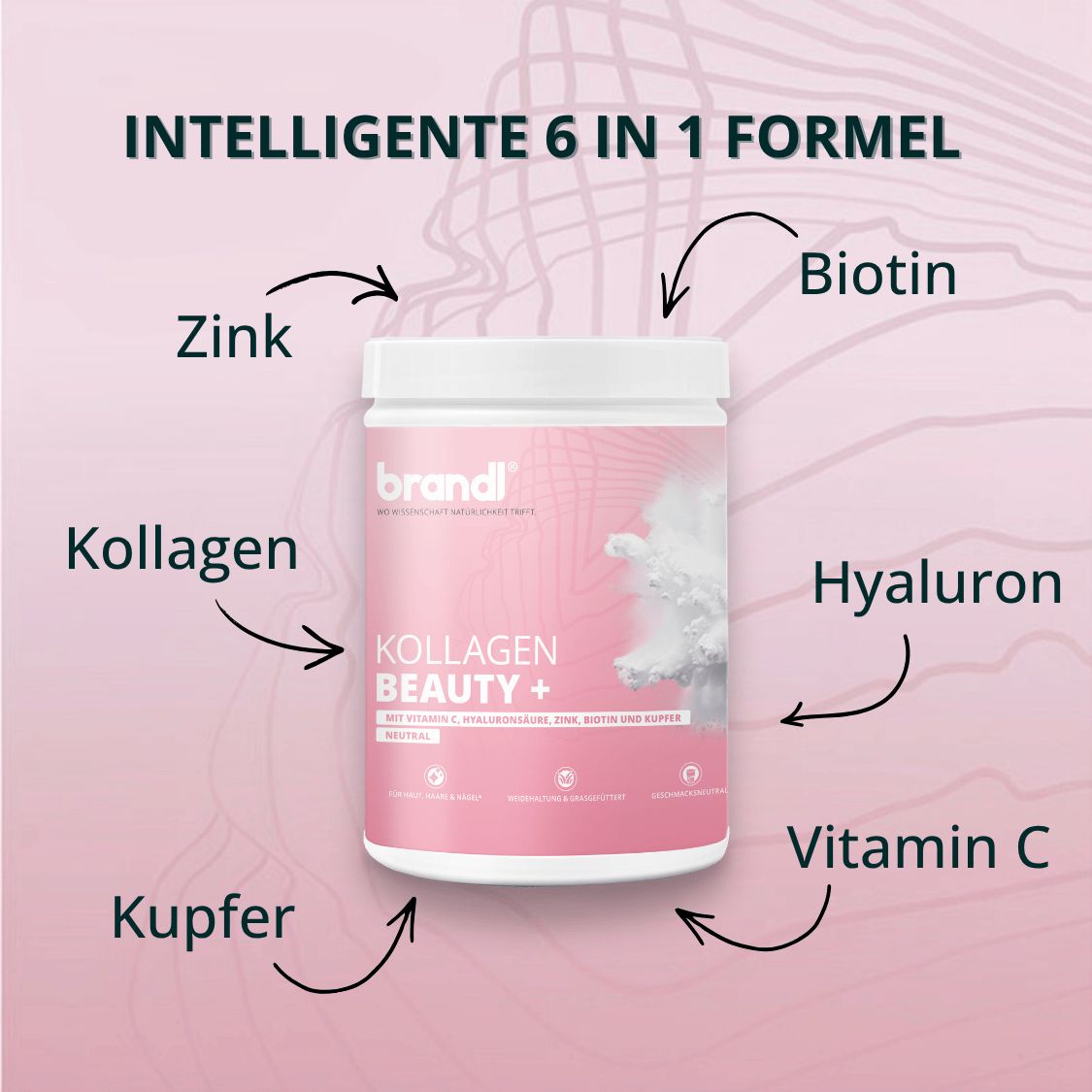 Rosa Dose mit weißem Deckel. Text: Kollagen Beauty+. Pfeile zeigen auf Zink, Kollagen, Kupfer, Vitamin C, Hyaluron, Biotin.