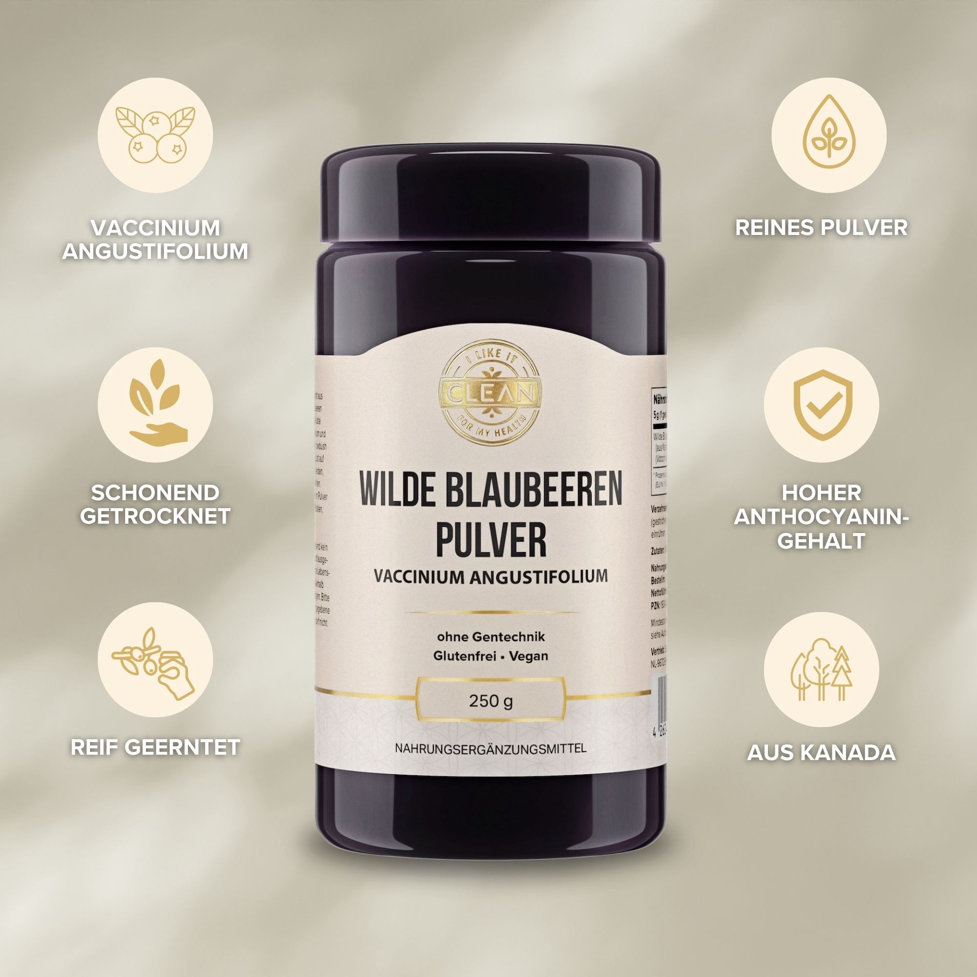 Dunkle Dose mit Pulver. Aufschrift: Wilde Blaubeeren Pulver. Logos: Schonend getrocknet, reif geerntet, reines Pulver.