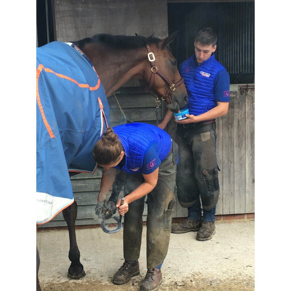 DERBY Horslyx Respiratory