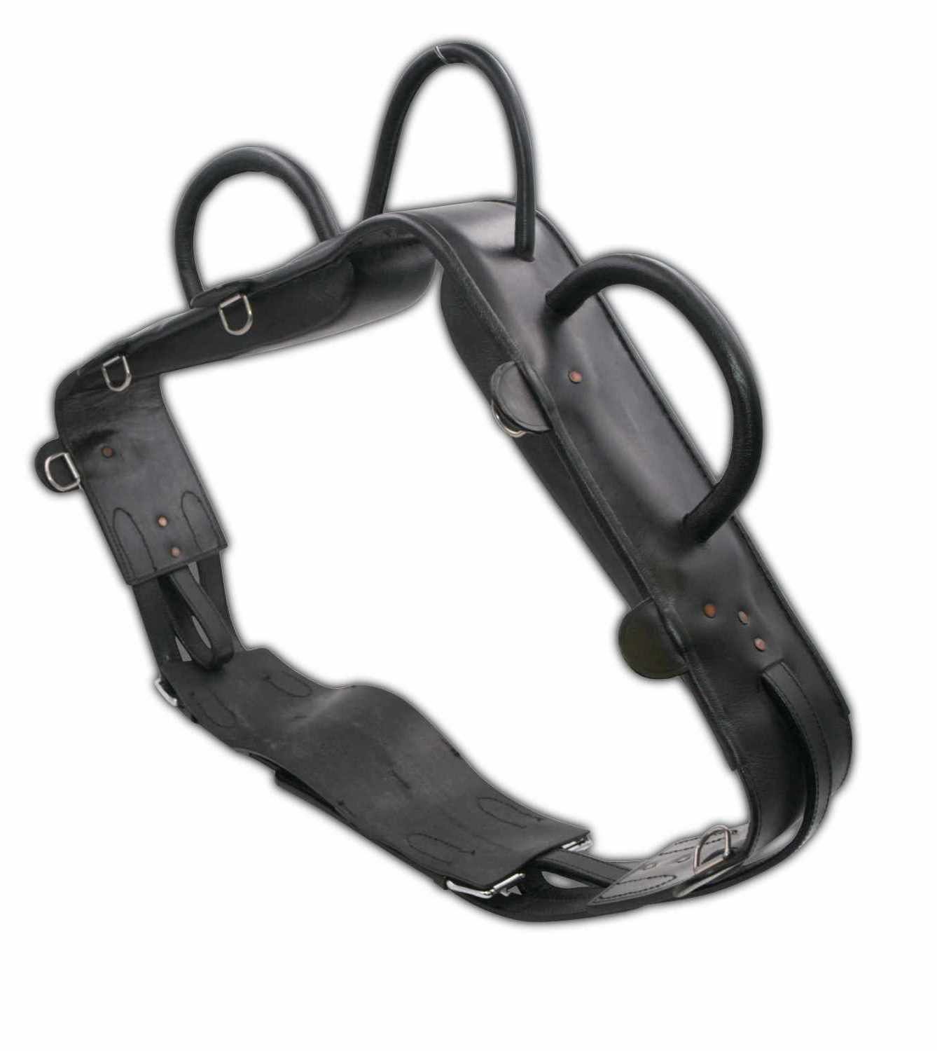 Schwarzer Voltigiergurt mit Griffen und Riemen. Metallringe und Schnallen.