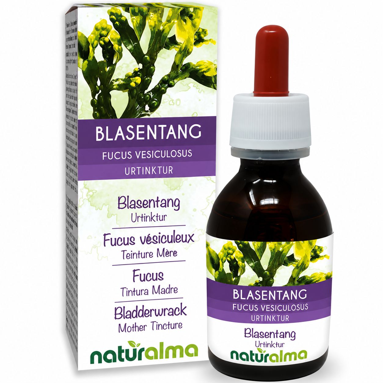 Informationen über pflanzliches Glycerin oder Glycerol von Naturalma.