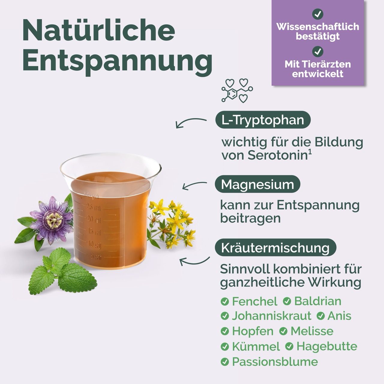 Ein Glas mit Flüssigkeit, umgeben von Kräutern und Blumen. Text: 'L-Tryptophan', 'Magnesium', 'Kräutermischung' mit Fenchel, Baldrian, Johanniskraut, Anis, Hopfen, Melisse, Kümmel, Hagebutte, Passionsblume.
