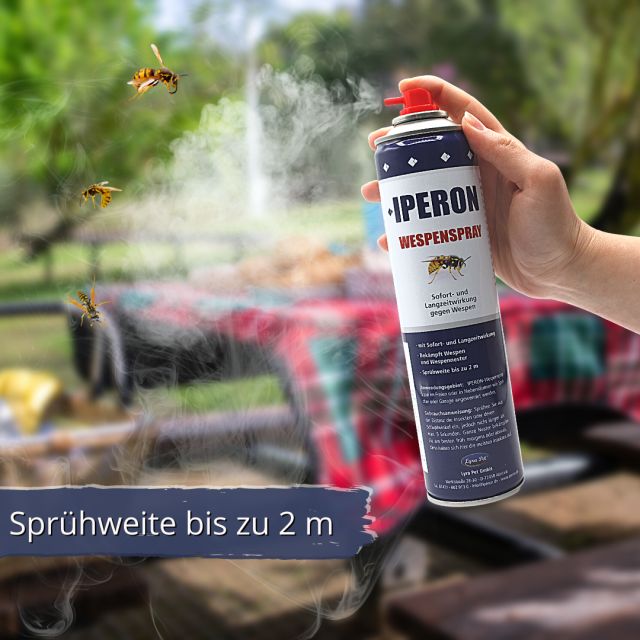 Person hält eine IPERON Wespenspray-Dose. Sprühnebel und Wespen im Flug. Text: Sprühweite bis zu 2 m.