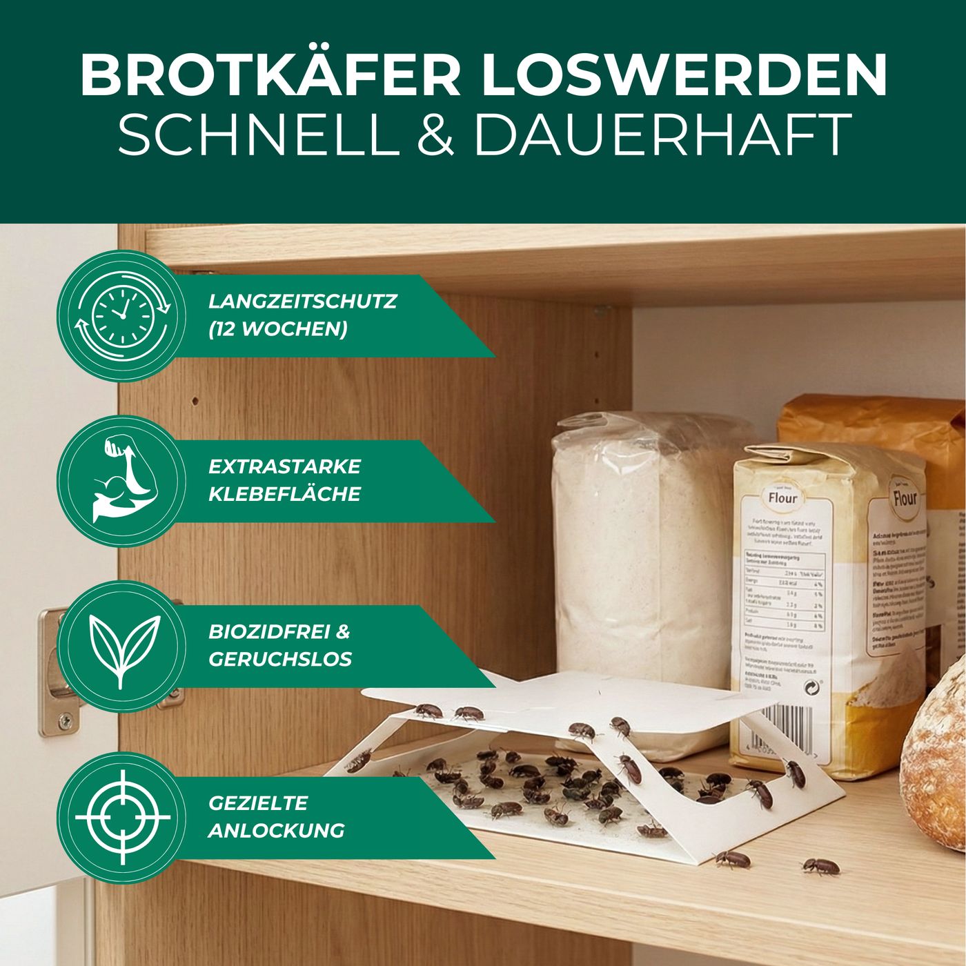 Brotkäferfalle in Schrank. Gezielte Anlockung, extra starke Klebefläche, biozidfrei & geruchlos, Langzeitschutz (12 Wochen).