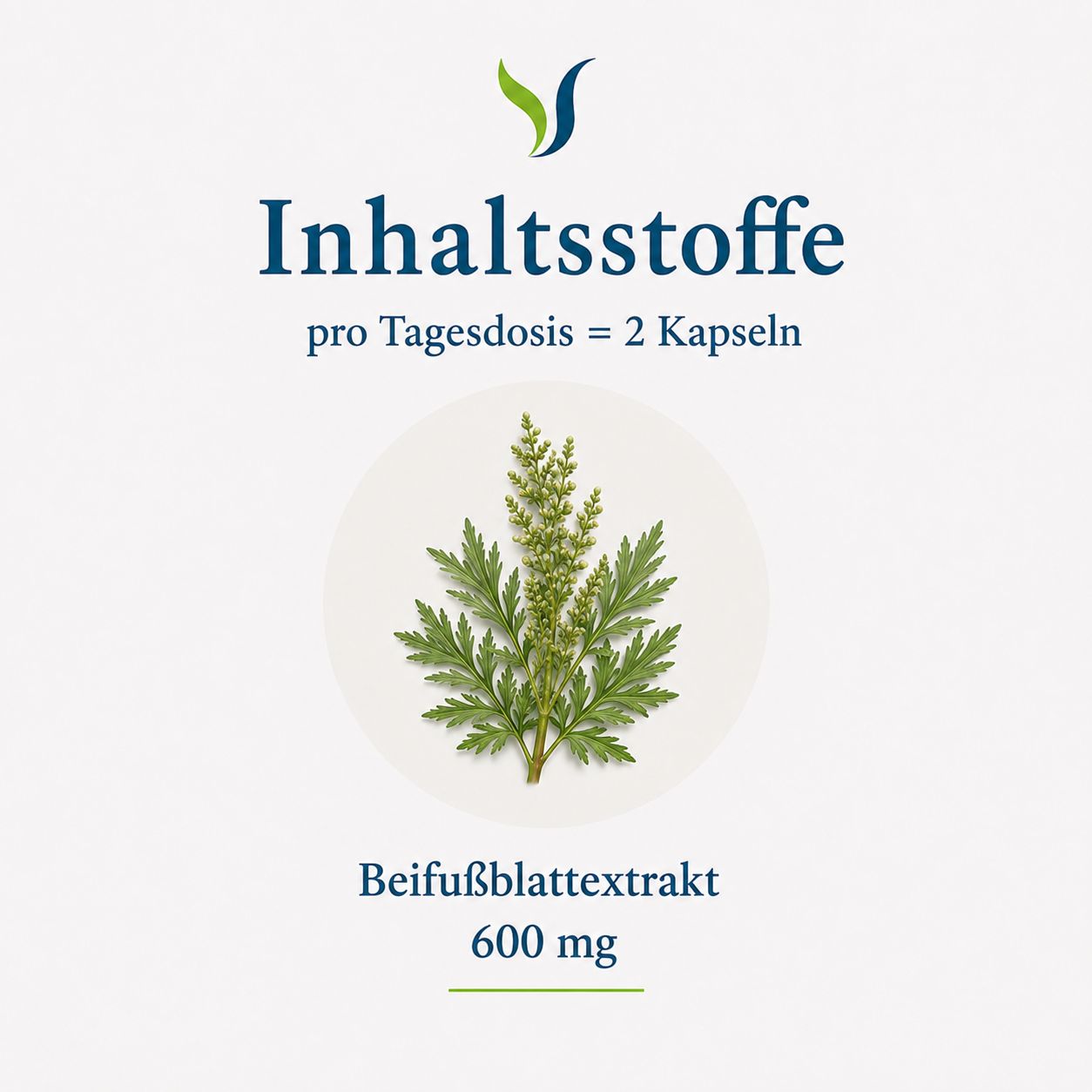 Illustration von Artemisia vulgaris Blättern und Blüten, mit Text 'Beifußblatt-Extrakt 600 mg'.