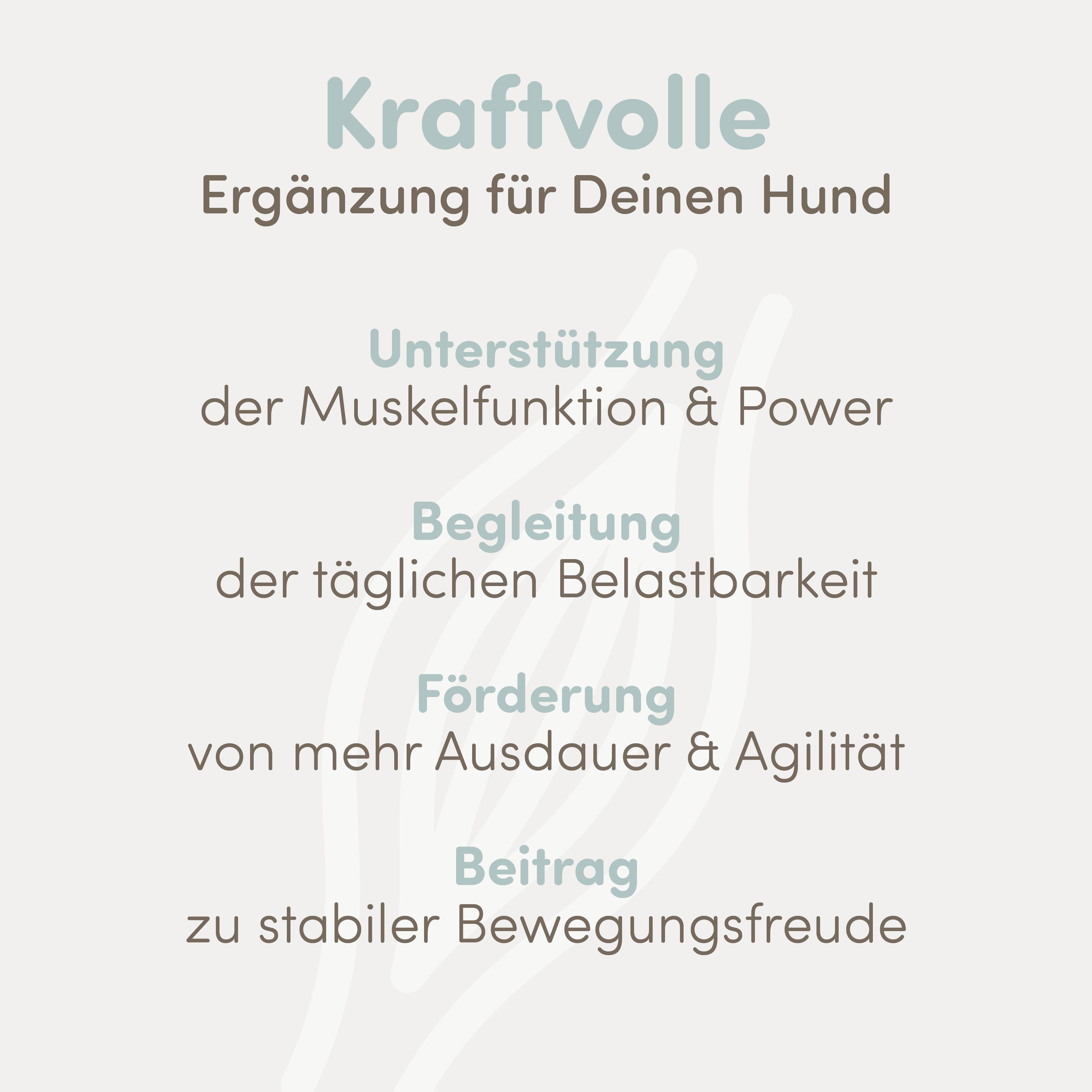 Text: Kraftvolle Ergänzung für Deinen Hund. Unterstützung der Muskelfunktion & Power.