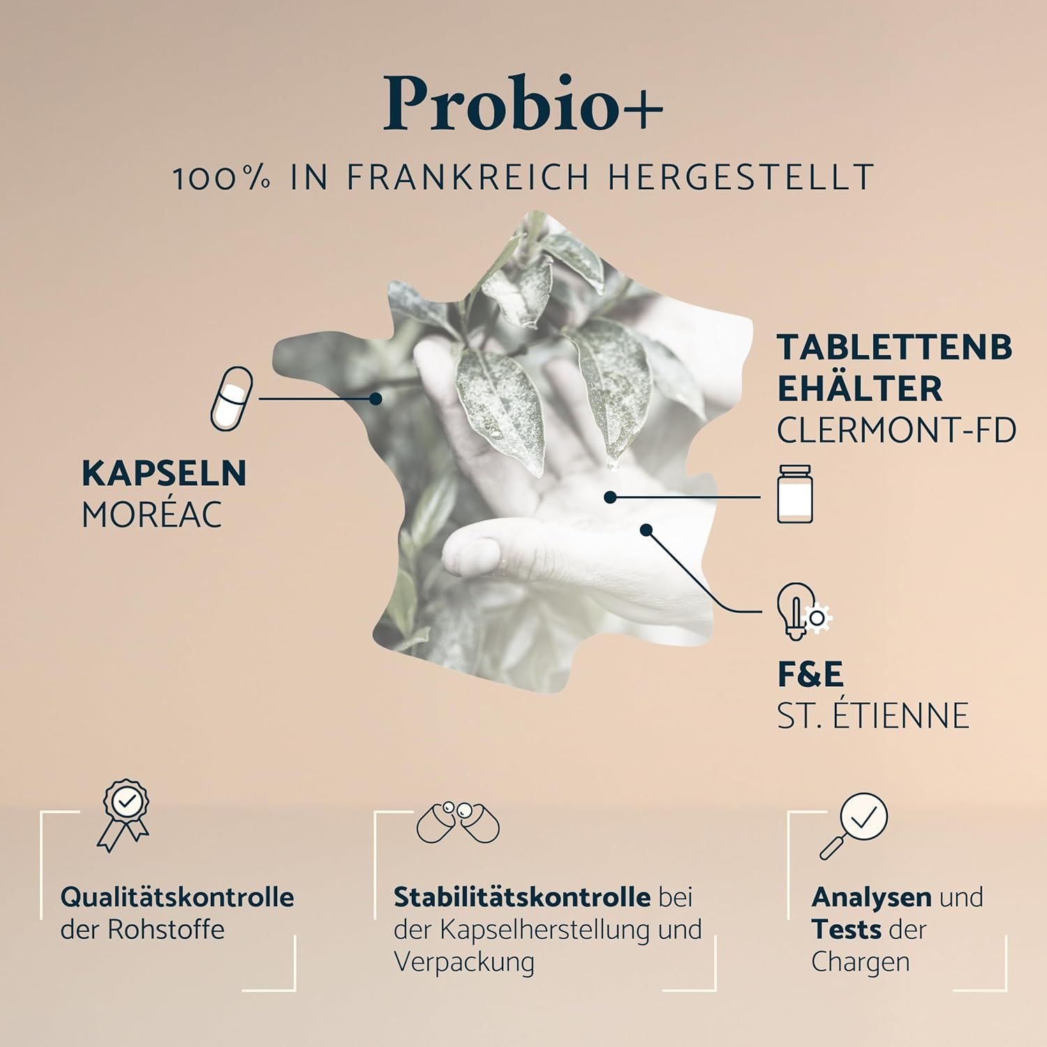 Apyforme - Probio+ Milchsäurebakterien