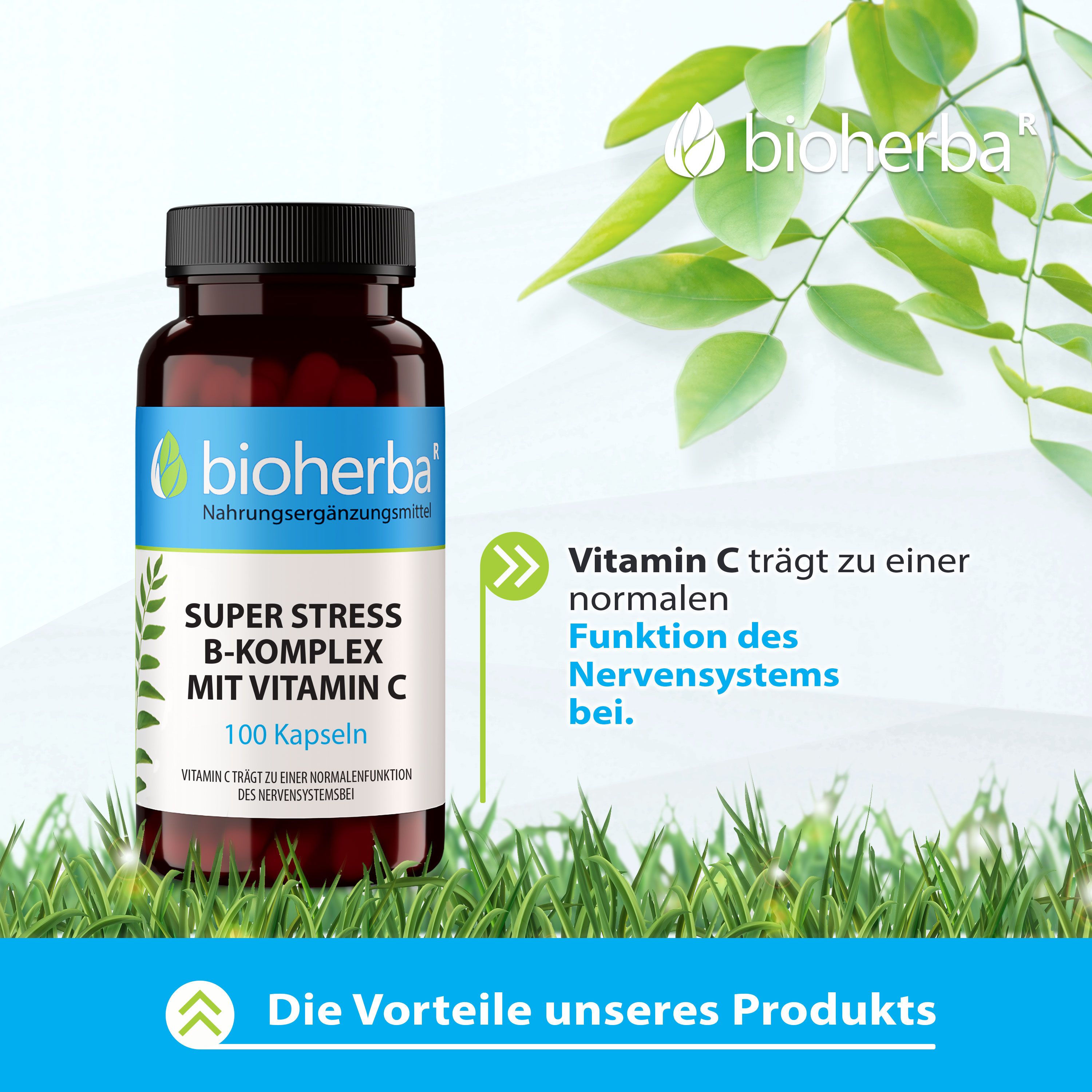 Bioherba Super Stress B-Komplex Mit Vitamin C, 100 Kapseln. Braune Flasche mit schwarzem Deckel, grüne Blätter im Hintergrund.
