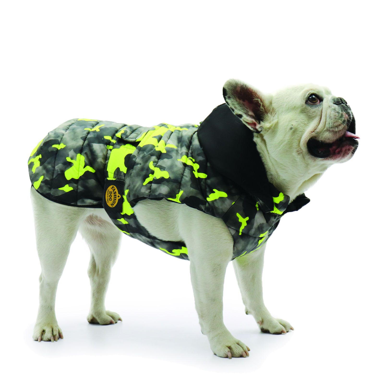 Hunde-Steppmantel, Camouflage-Muster, gelb und grau. Schwarzer Kragen. Hund trägt Mantel.