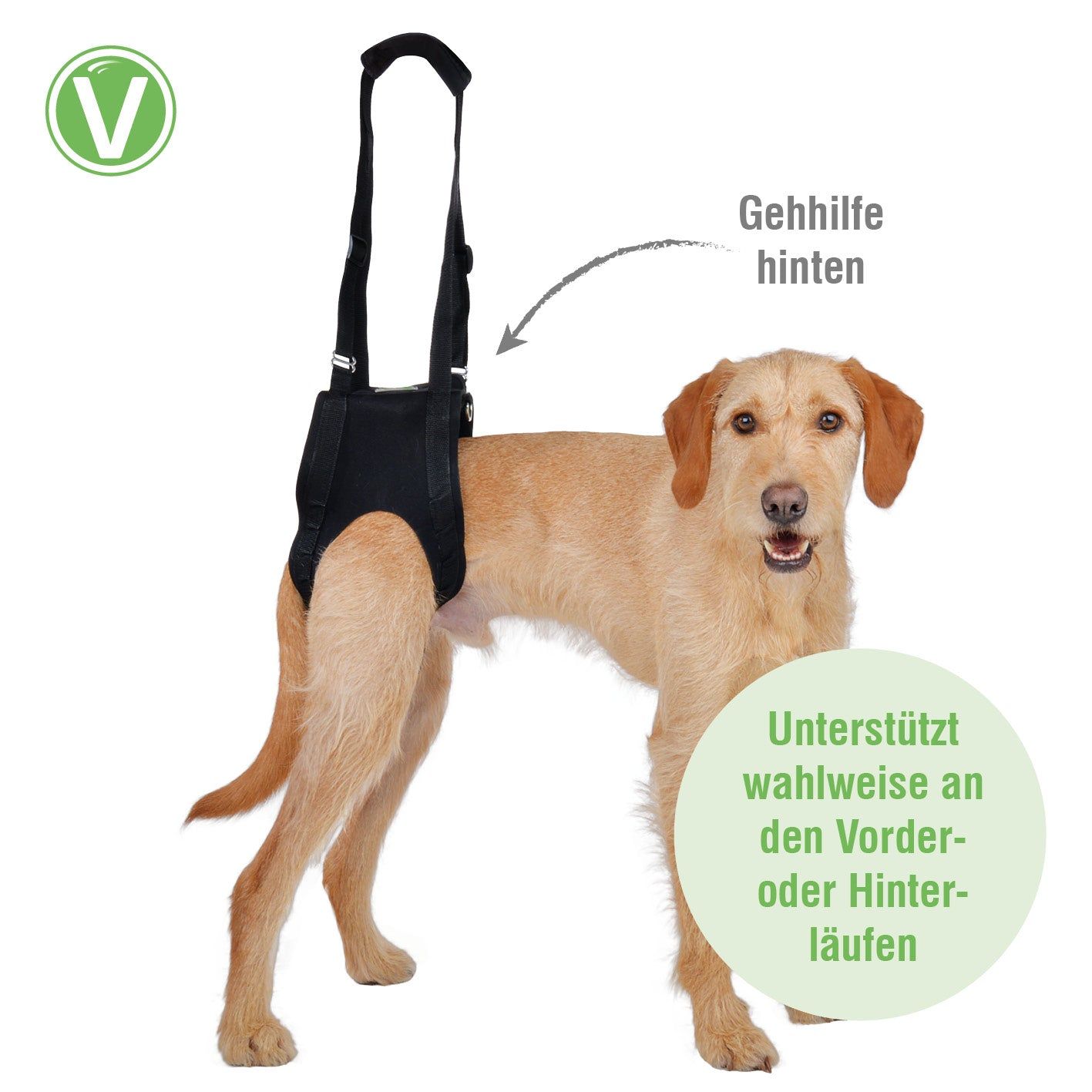 Vetlando Gehhilfe