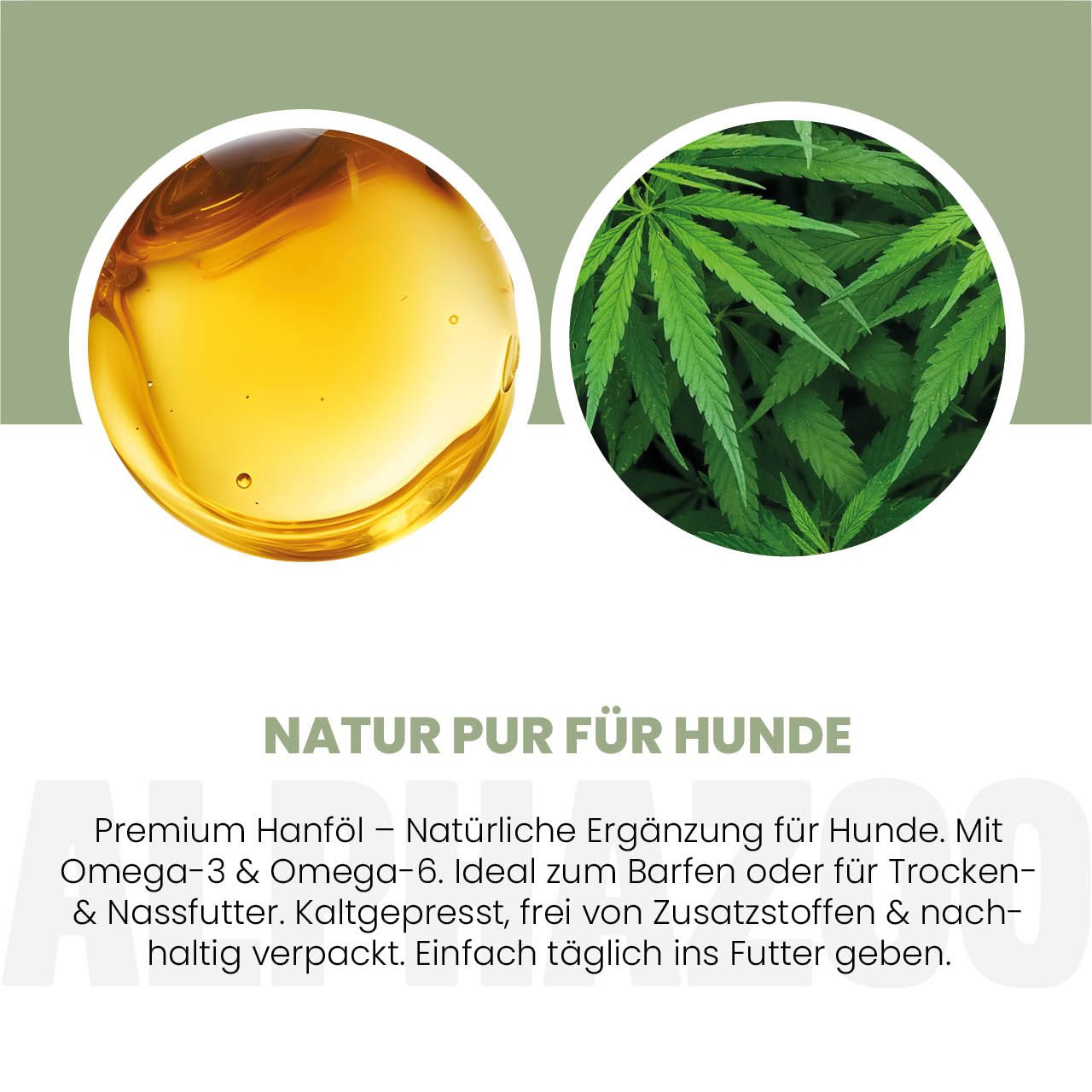 Zwei Kreise: Öl und Hanfblatt. Text: Natur pur für Hunde. Premium Hanföl. Mit Omega-3 & Omega-6.