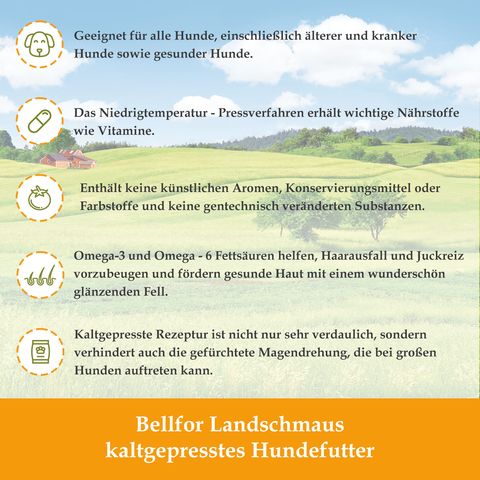 Bellfor Kaltgepresst hypoallergenes Trockenfutter für Hunde mit Insekten - Naturgut-Schmaus