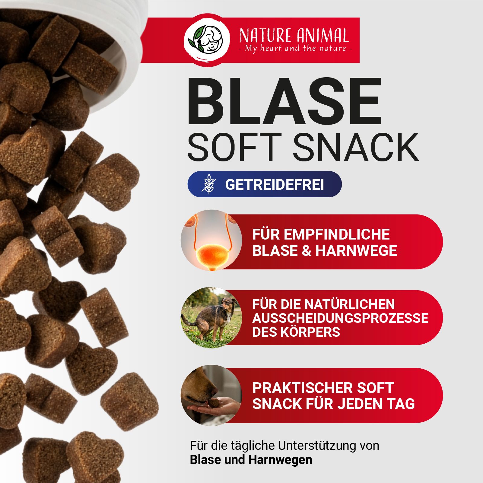 Hundefutter: Kausnacks mit D-Mannose und Cranberry. Fütterungsempfehlung nach Gewicht.
