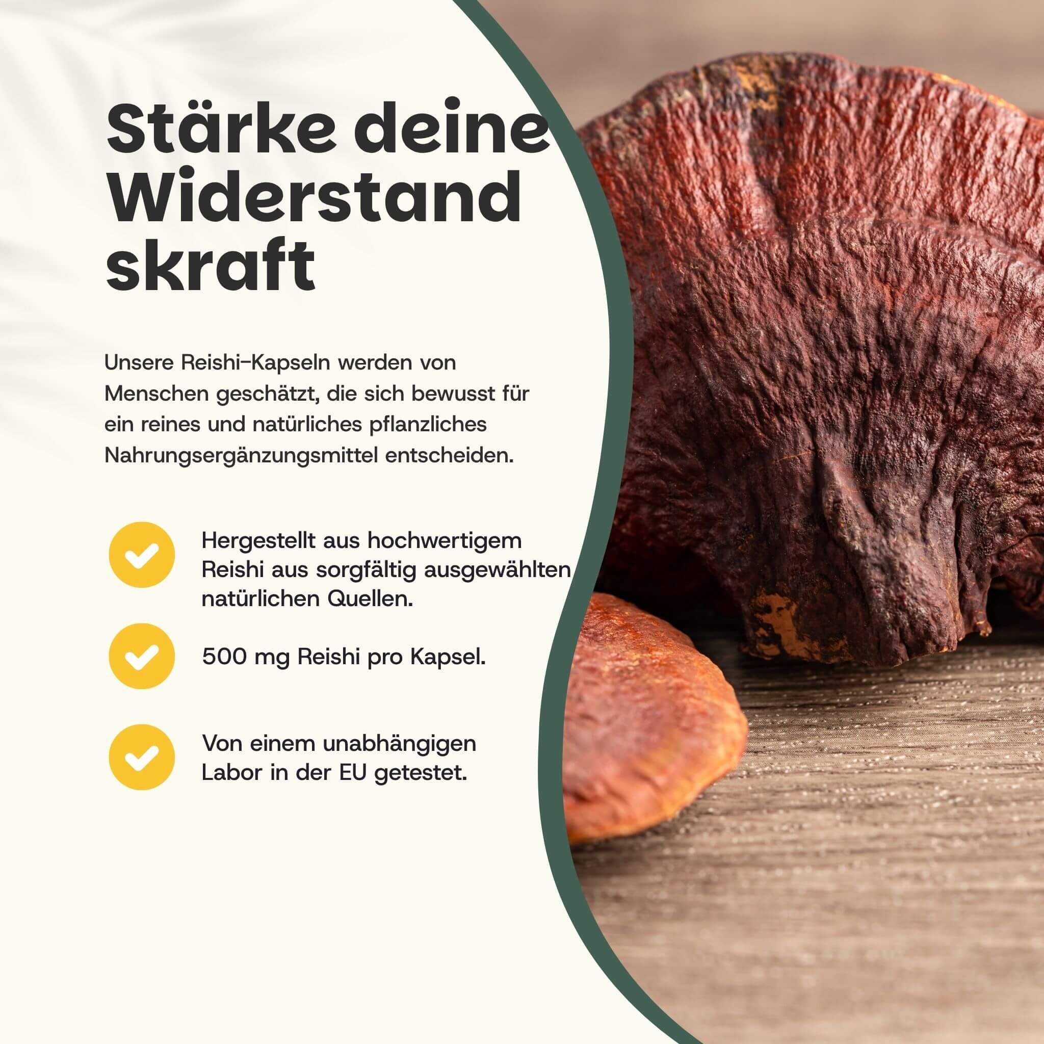 Beutel mit Reishi-Kapseln. Vergleich: Unsere Reishi-Kapseln vs. andere Anbieter. Kraftpapierbeutel, vegane Kapseln.