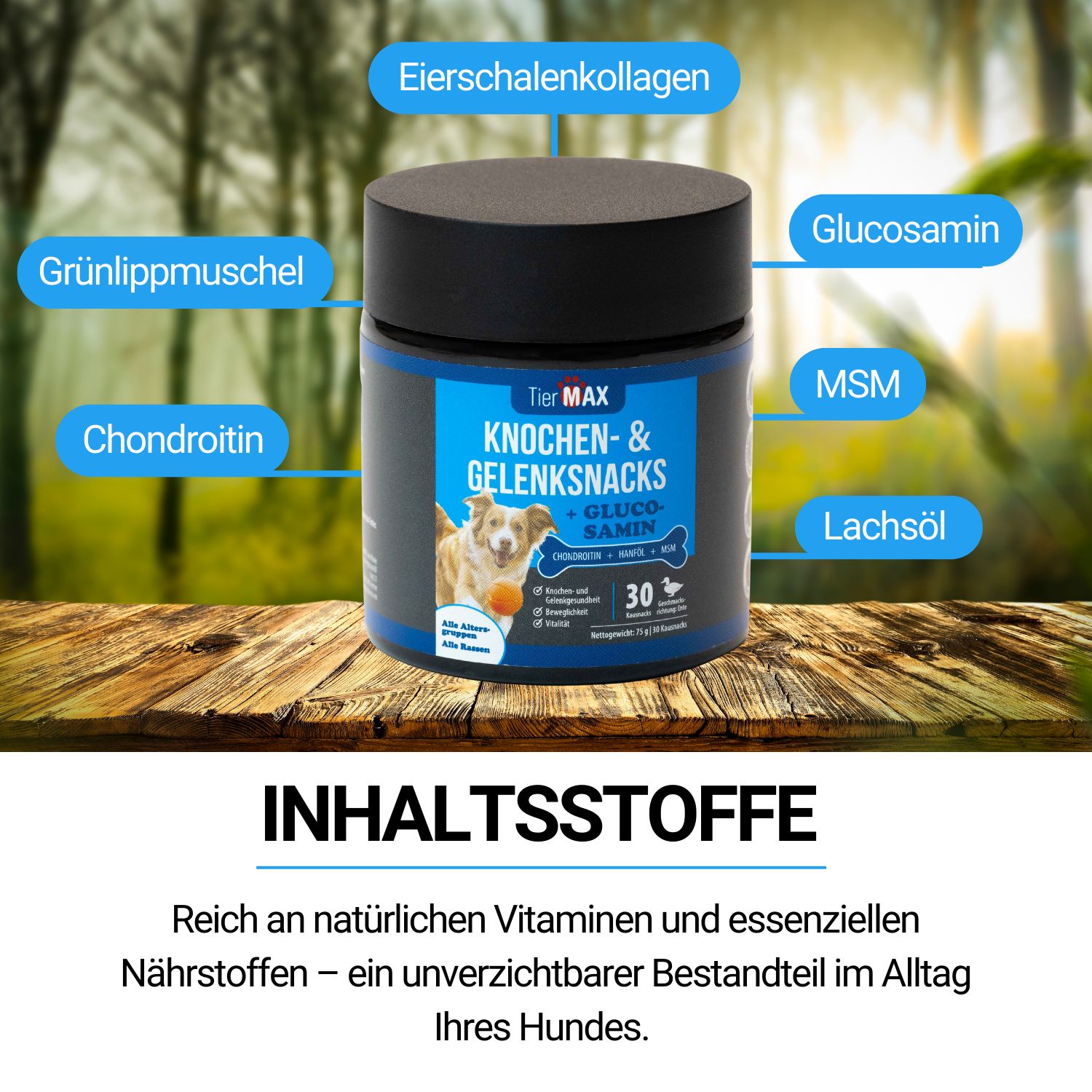 Dose TierMax Knochen- & Gelenksnacks. Aufschrift: Eierschalenkollagen, Glucosamin, MSM, Lachsöl, Chondroitin, Grünlippmuschel. Hintergrund: Wald.
